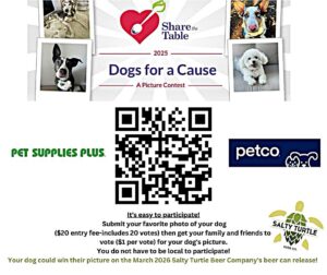 Dog contest